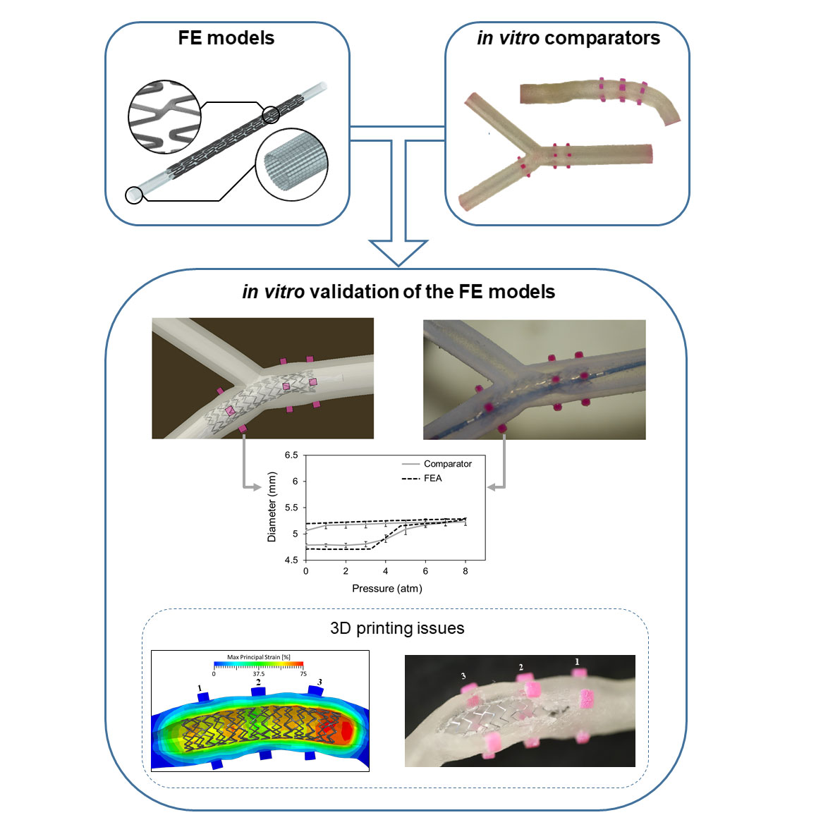 in-vitro-comparator-for-coronary-stent-deployment